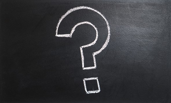 Ask questions